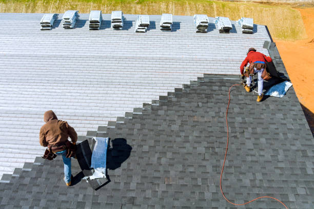 Best Roof Restoration Services  in Ferrysburg, MI