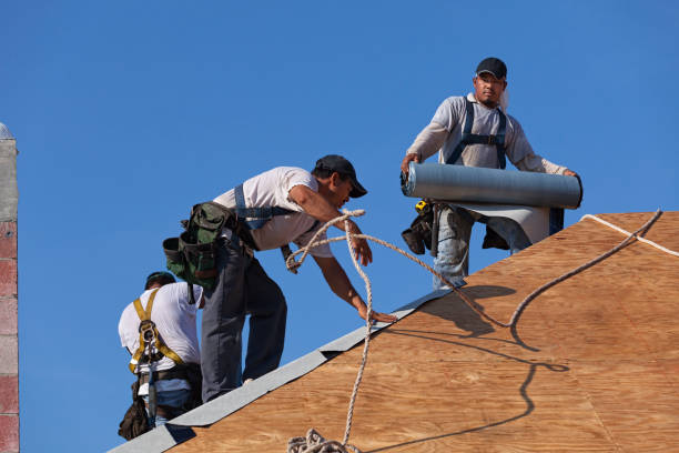 Best Gutter Installation and Roofing  in Ferrysburg, MI