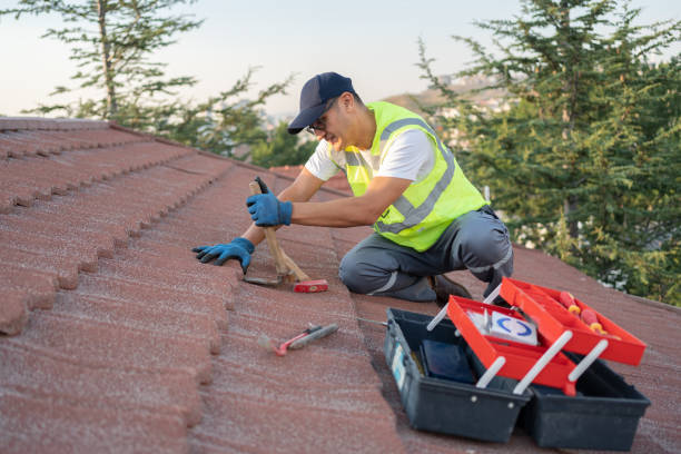 Best Commercial Roofing Services  in Ferrysburg, MI