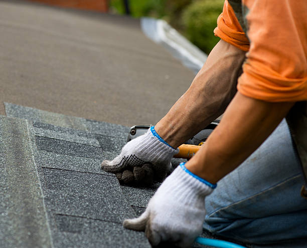 Quick and Trustworthy Emergency Roof Repair Services in Ferrysburg, MI