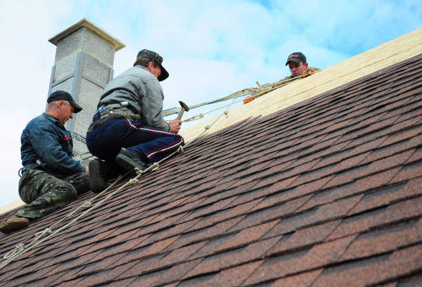 Best Roof Restoration Services  in Ferrysburg, MI