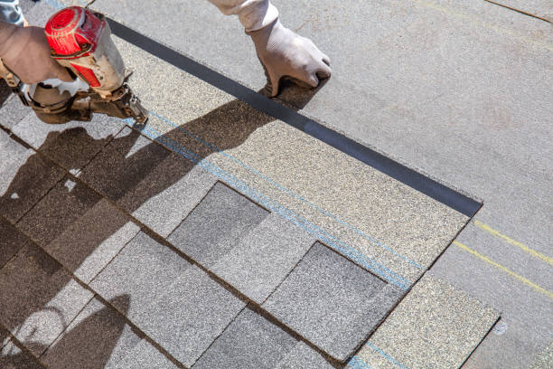 Best Local Roofing Companies  in Ferrysburg, MI